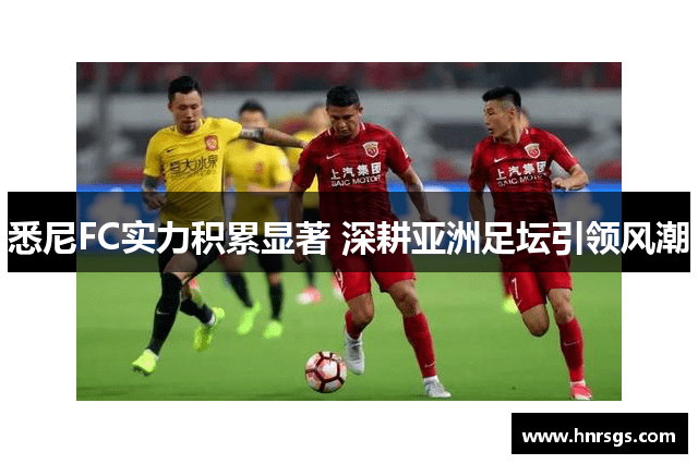 悉尼FC实力积累显著 深耕亚洲足坛引领风潮