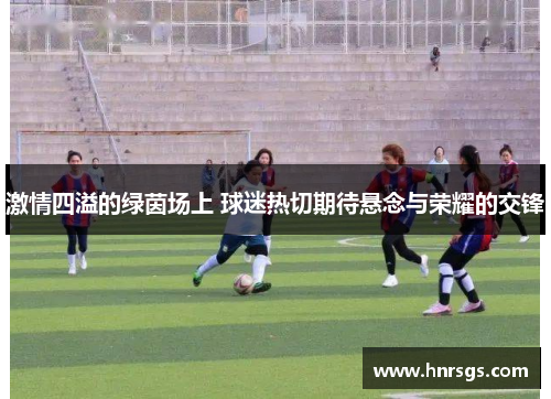 激情四溢的绿茵场上 球迷热切期待悬念与荣耀的交锋