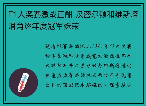F1大奖赛激战正酣 汉密尔顿和维斯塔潘角逐年度冠军殊荣